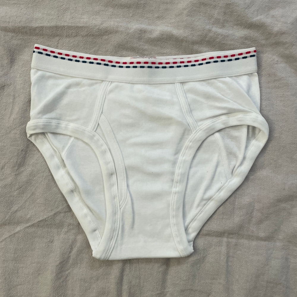 Vintage Tiger Briefs Mens 32-34 White Red Blue Stripe Waistband Underwear